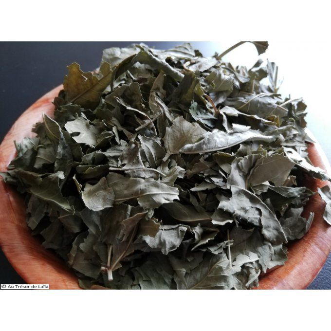 Frêne feuilles Bio